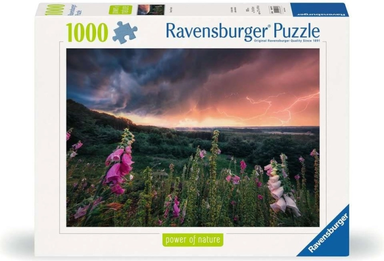 Ποιότητα RAVENSBURGER από το 1891