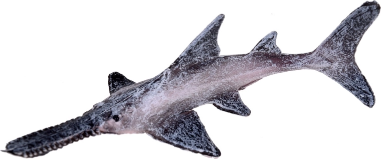 Εκπαιδευτικό παιχνίδι