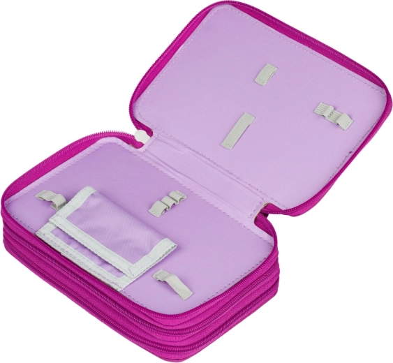 Ενισχυμένη ράχη