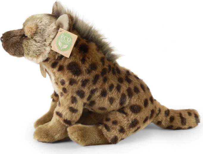 Eco friendly γέμιση από μπουκάλια PET