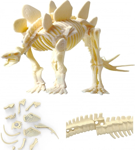 Συναρμολόγησε τον ρεαλιστικό σκελετό ΣΤΕΓΟΣΑΥΡΟΥ