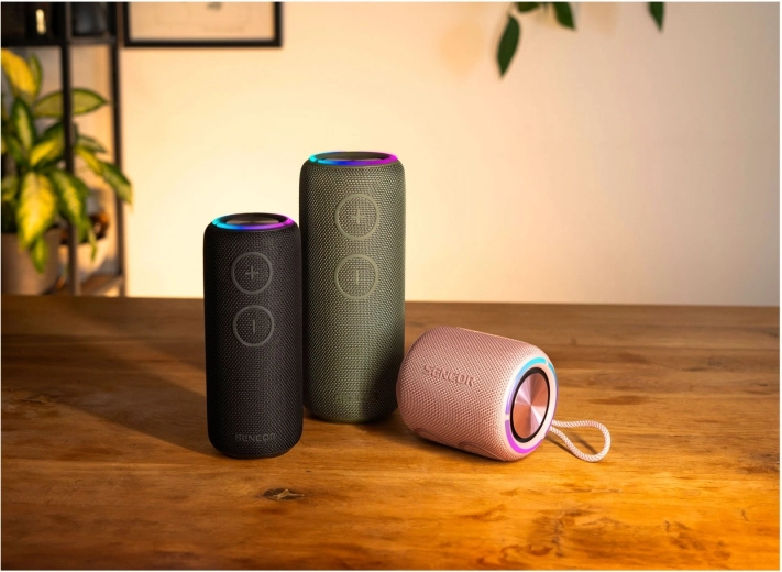 True Wireless Stereo (TWS)