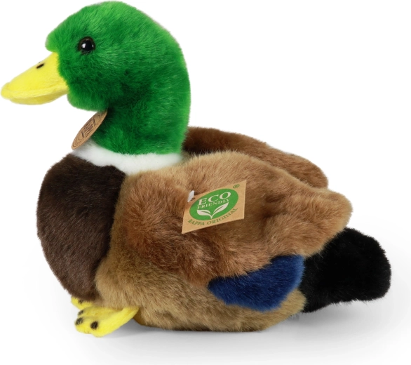 ECO-FRIENDLY υλικά