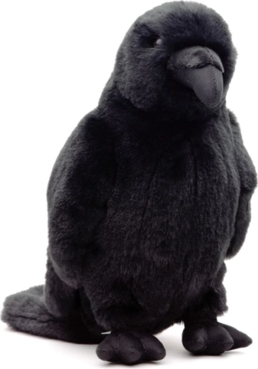 Οικολογική επιλογή