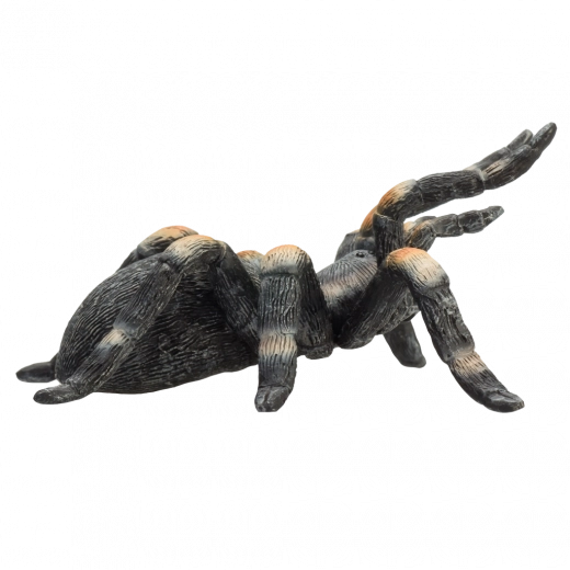 Πολυχρηστική χρήση: παιχνίδι, συλλογή και εκμάθηση