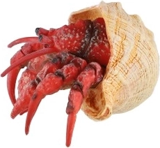 Συμπαγές μέγεθος 7 εκ. και καθολική χρήση