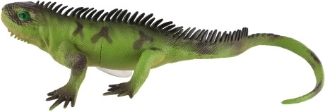 Ποικιλία χρωμάτων