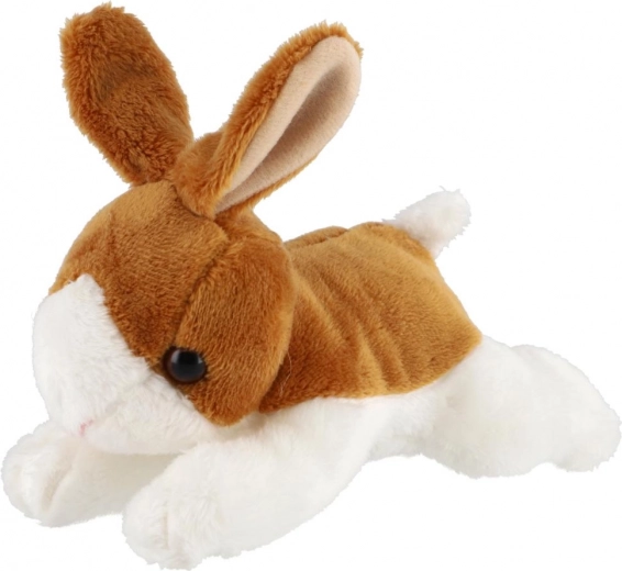 Χαριτωμένες, ρεαλιστικές λεπτομέρειες