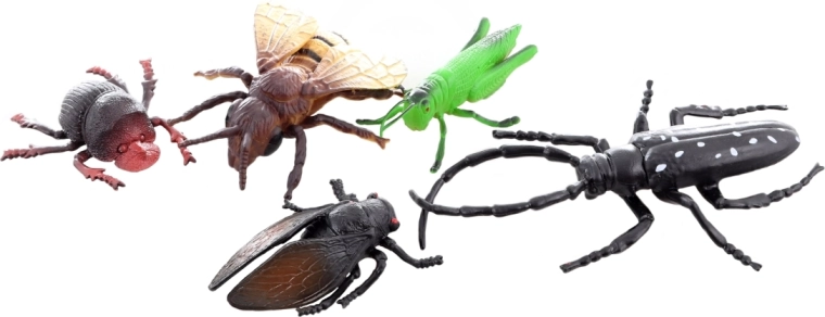 Μάθηση μέσω παιχνιδιού για μικρούς εξερευνητές