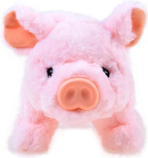 Χαριτωμένος σύντροφος