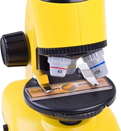 Τρία επίπεδα μεγέθυνσης για τις πρώτες ανακαλύψεις