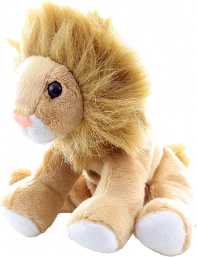 Σταθερότητα