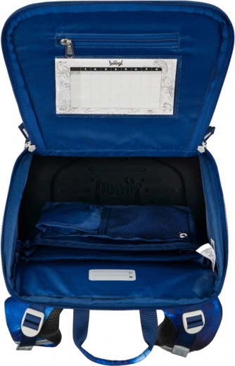 Εσωτερική οργάνωση