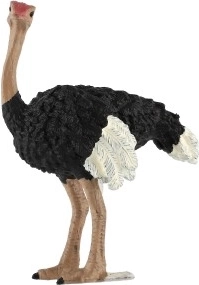 Εκπαιδευτική αξία