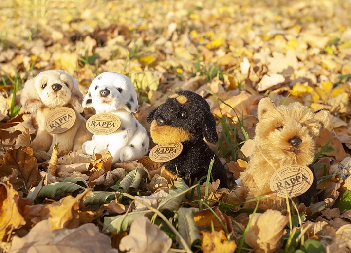 Ασφάλεια και ποιότητα