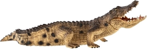 Ρεαλιστικές λεπτομέρειες και φυσικά χρώματα