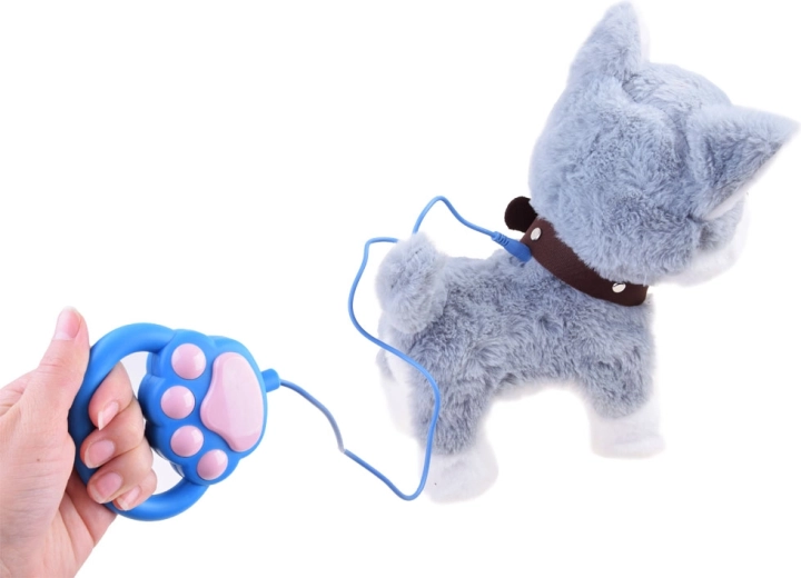 Περπάτημα με λουρί και εύκολος χειρισμός