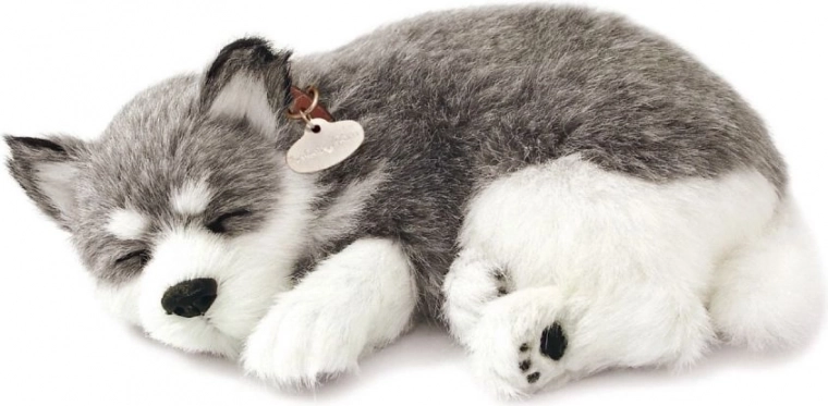 Ρεαλιστική αναπνοή και τρυφερή εμφάνιση