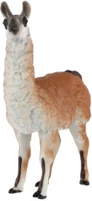 Ιδανική για μάθηση και ως διακόσμηση