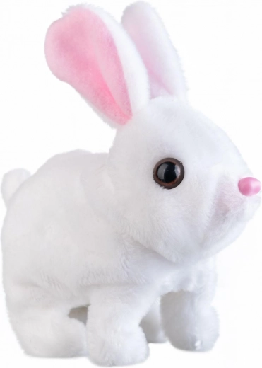 Πηδάει, κινεί τα αυτιά και μιλάει