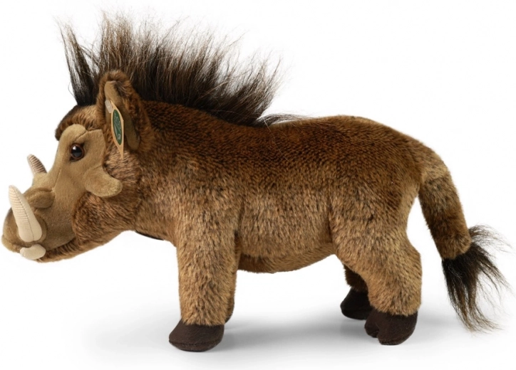 Μαλακό πぬους και ασφάλεια