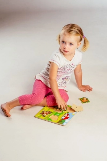 Υποστήριξη γνωστικής ανάπτυξης