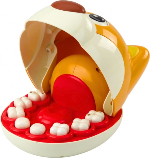 8 αφαιρούμενα δόντια και ρεαλιστικά εργαλεία