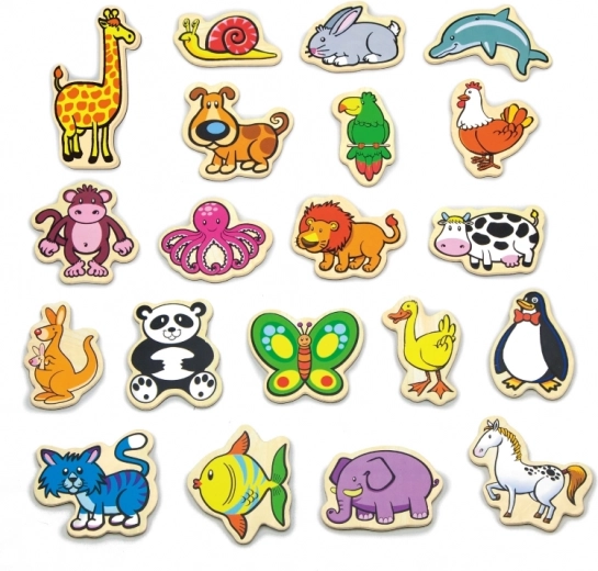 Πολύχρωμες μαγνητικές φιγούρες