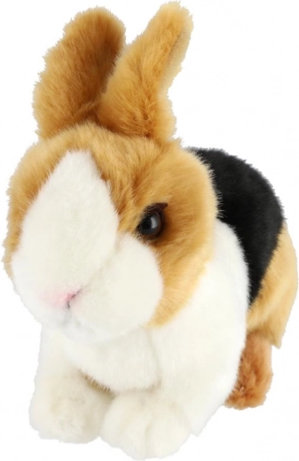 Ελαφρύ και ιδανικό για παιδικό χεράκι