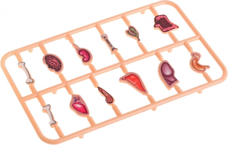 Πλήρες σετ με 12 όργανα και χώρο αποθήκευσης