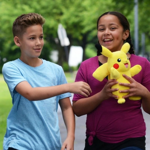 Σύντροφος για το σπίτι και τη βόλτα