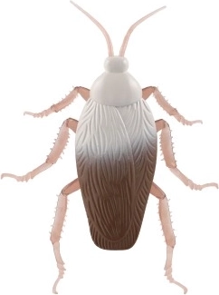 Ρεαλιστική κατασκευή