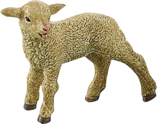 Ρεαλιστικό αρνάκι