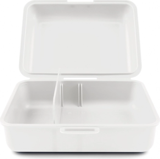 Τακτική οργάνωση με διαχωριστικό