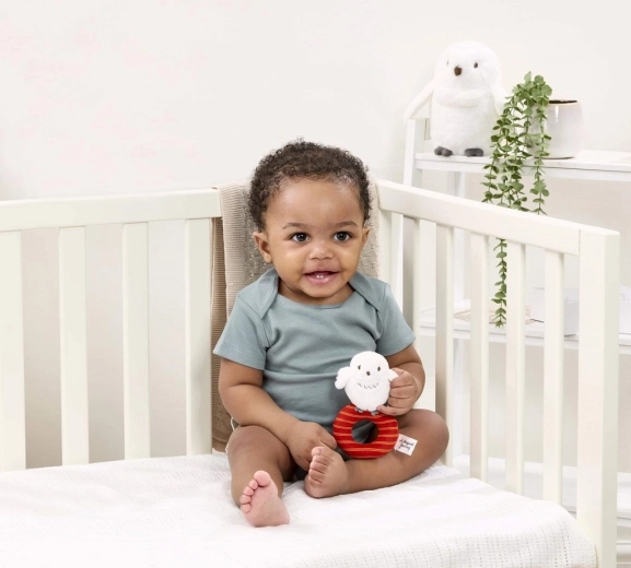 Σύντροφος για το ταξίδι και την κούνια