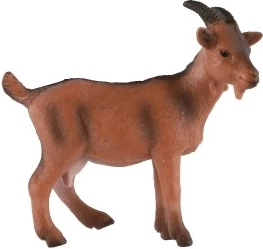 Εκπαιδευτικός σκοπός