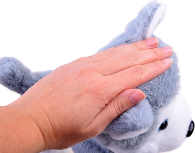 Αντίδραση στην αφή και χαρούμενα γαβγίσματα