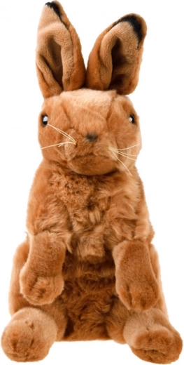 Μαλακό και Απαλό