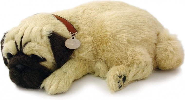 Πιστή απόδοση παγκ