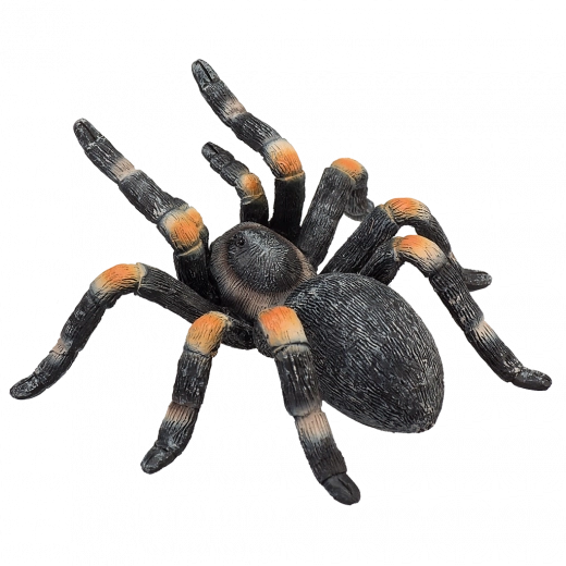 Πιστές λεπτομέρειες και ρεαλιστική υφή