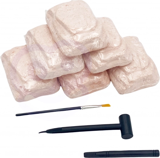 Σετ 6 δεινοσαύρων