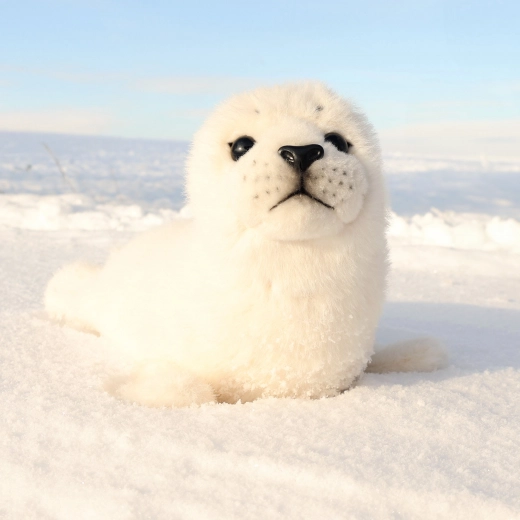Έτοιμη για αγκαλιές στο σπίτι και στο ταξίδι