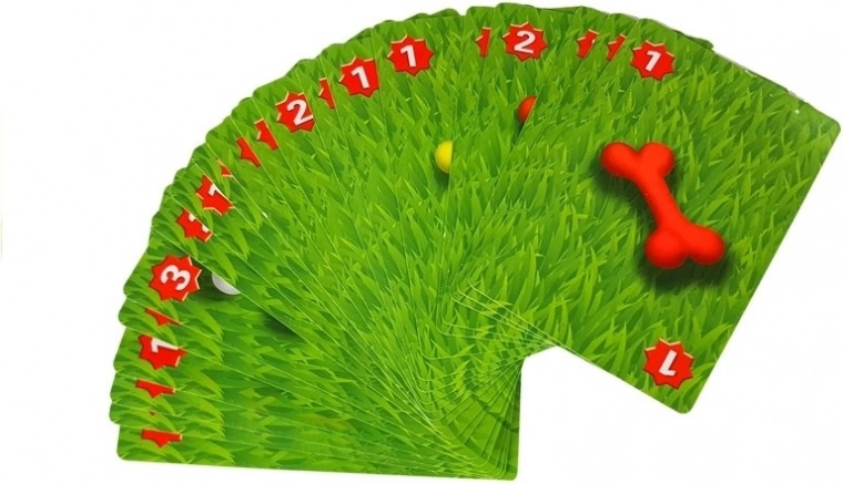 Κάρτες παιχνιδιού για διαφορετικές εκδοχές