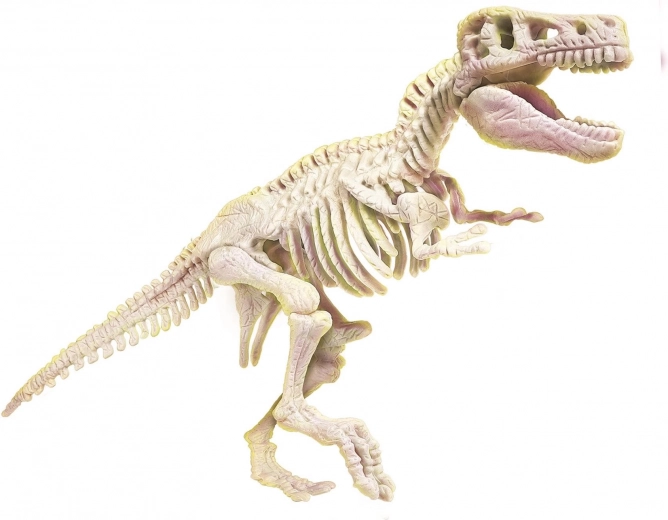 Φωσφορίζων σκελετός T‑Rex