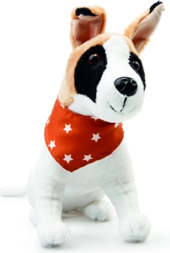 Καλλιέργεια ενσυναίσθησης και φροντίδας