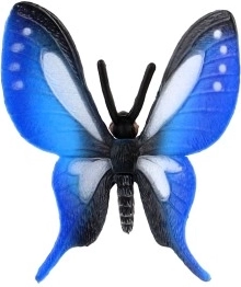 Υπέροχα μπλε φτερά