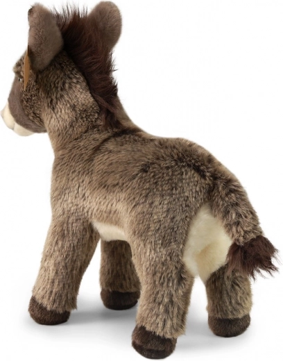 Κατάλληλο από τη γέννηση