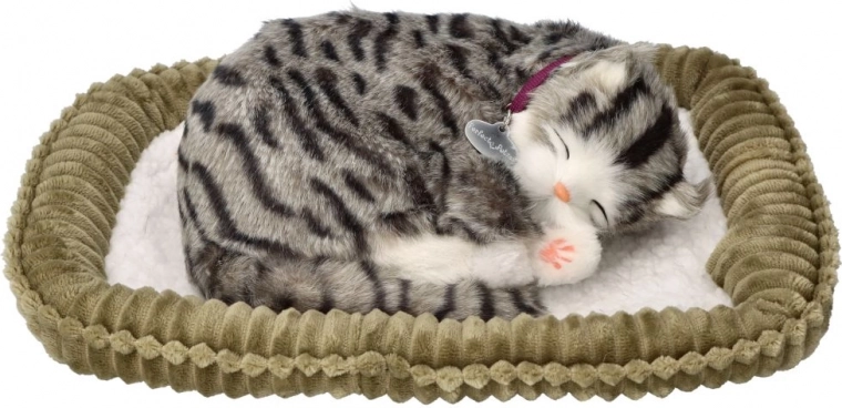 Ρεαλιστική αναπνοή και εμφάνιση