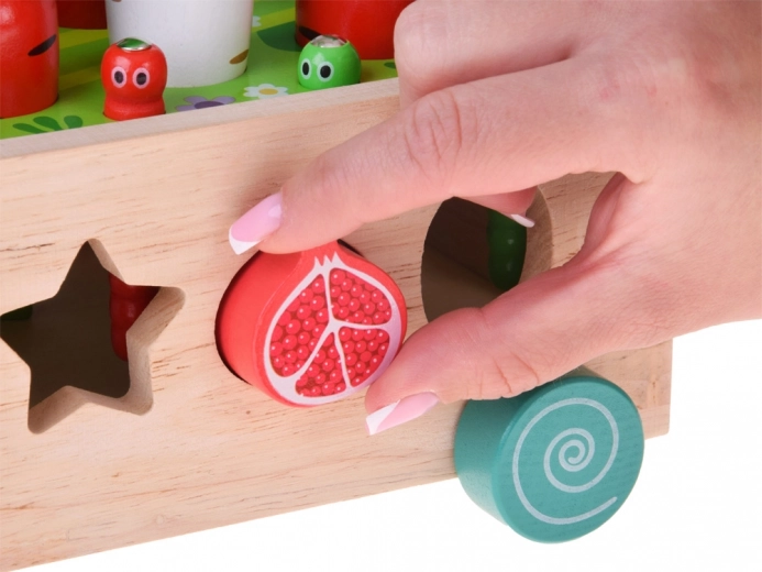 Ταξινόμηση πολύχρωμων φρουτένιων σχημάτων