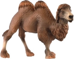 Ρεαλιστικές λεπτομέρειες δικουβού καμήλας